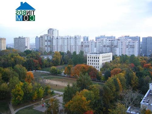 Ảnh BĐS Moscow tìm cách trốn thuế