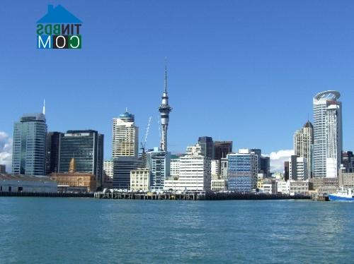 Ảnh Giao dịch nhà ở New Zealand vẫn tiếp tục tăng