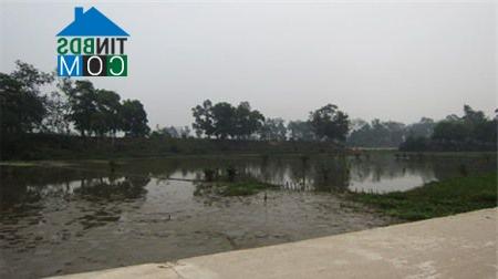 Ảnh Hà Nội: Phục dựng hệ thống thành Cổ Loa