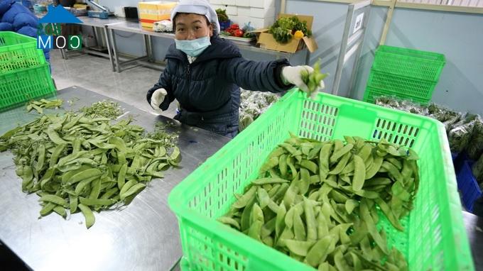 Ảnh Đà Lạt tương lai sẽ có diện tích tương đương với Hà Nội