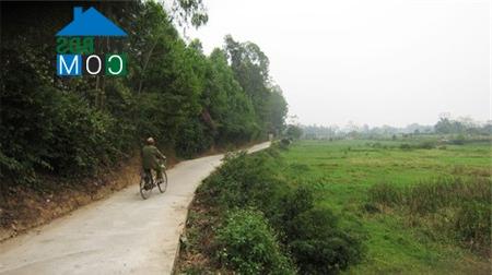 Ảnh Hà Nội: Phục dựng hệ thống thành Cổ Loa