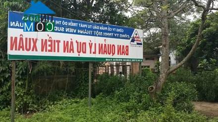 Ban Quản lý Dự án Khu đô thị Tiến Xuân (Quốc Oai, Hà Nội) bị bỏ hoang. Ảnh: Như Ý