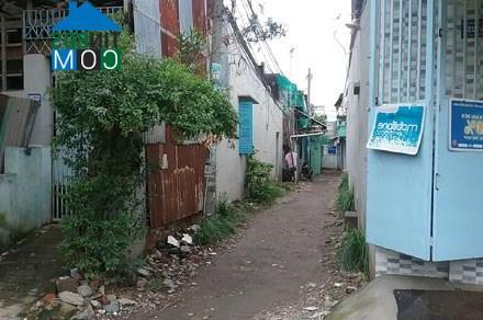 Ảnh Hàng trăm ngôi nhà mọc lên khó hiểu trên đất dự án