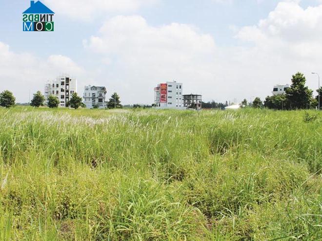 Ảnh Chán “đất vàng”, doanh nghiệp Tp.HCM săn dự án “chết”
