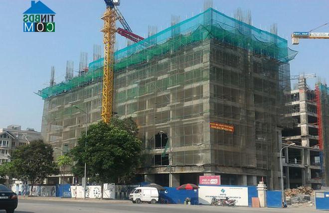 Ảnh Phát triển nhà giá mềm: "Canh bạc” may rủi