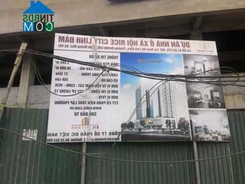 Ảnh Dân nghèo "ngán ngẩm" với NƠXH