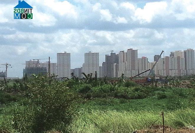 Ảnh TP.HCM “hụt hơi” khi đầu tư khu đô thị mới Thủ Thiêm