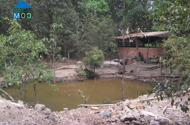 Ảnh Người dân kêu cứu bí thư Thăng khi mua phải dự án "vịt trời"