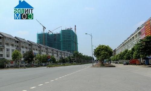 Ảnh Hàng trăm biệt thự triệu đô ở Hà Nội thành chỗ trồng rau, nuôi gà