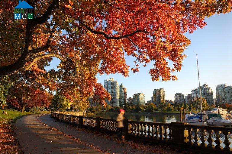 Thuế mới đã có những tác động đầu tiên lên thị trường nhà đất Vancouver (Ảnh: Shutterstock)