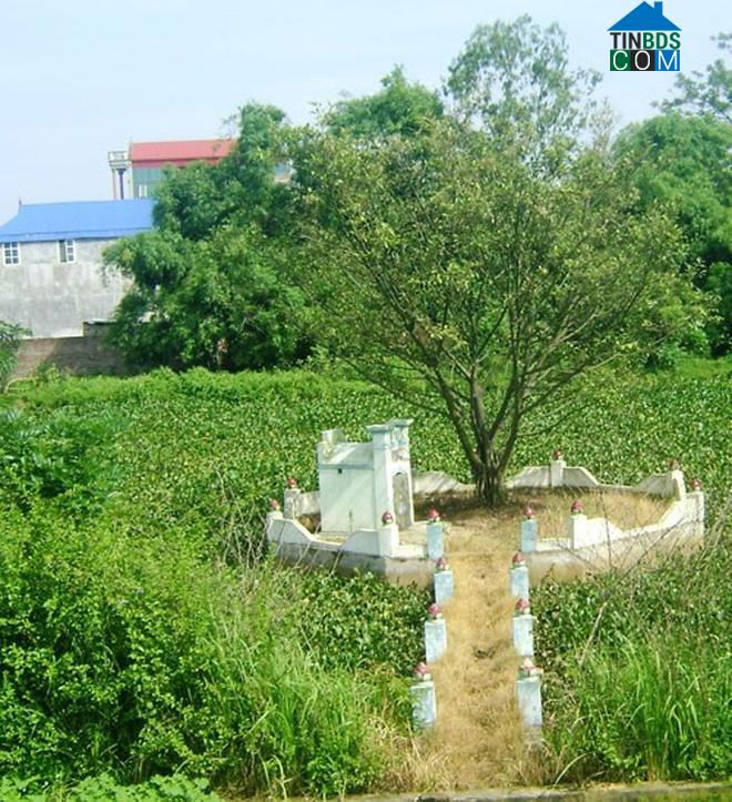 Ảnh Chỉ đạo xử lý vụ "xẻ thịt" đất công tại Đông Anh