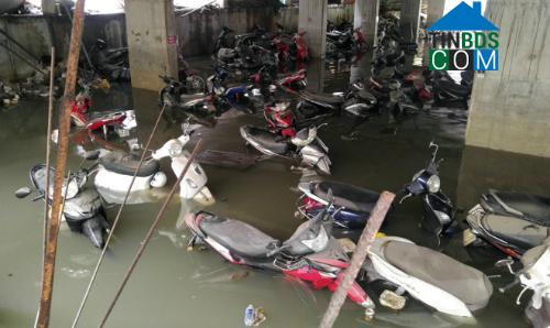 Ảnh BĐS Sài Gòn mất điểm vì mùi hôi thối, nước ngập bao vây