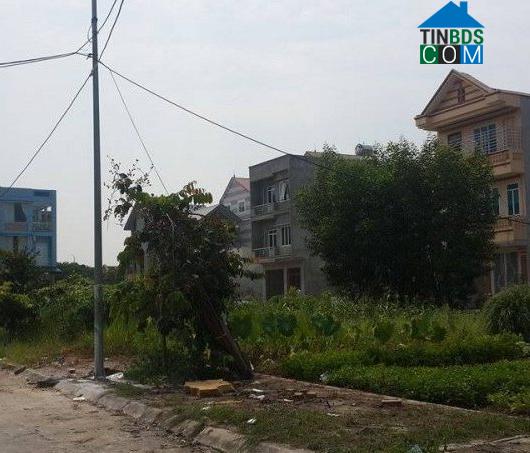 Ảnh Người dân khốn khổ với dự án nhà ở 83 tỷ đồng tại Phú Thọ