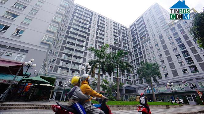 Ảnh Thủ tục hành chính là lực cản trong phát triển NOXH tại Tp.HCM