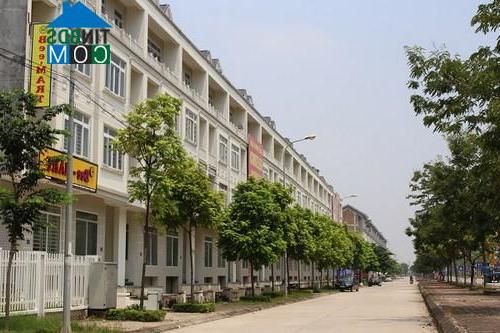 Ảnh Hàng trăm biệt thự triệu đô ở Hà Nội thành chỗ trồng rau, nuôi gà