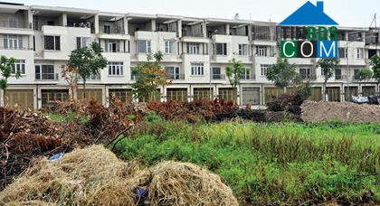 Ảnh Khu đô thị Văn Phú: Cỏ dại mọc trong biệt thự tiền tỷ