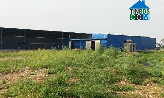 Ảnh Xây dựng, cho thuê kho trái phép thu lợi tiền tỷ