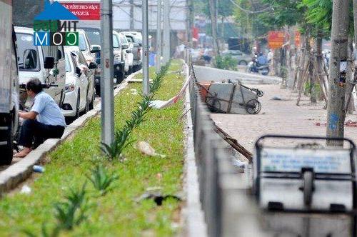 Hệ thống dải phân cách giữa vỉa hè đường Thái Hà với lòng đường mương cống hóa cũng đã được trồng cỏ xanh, cải thiện môi trường xung quanh.