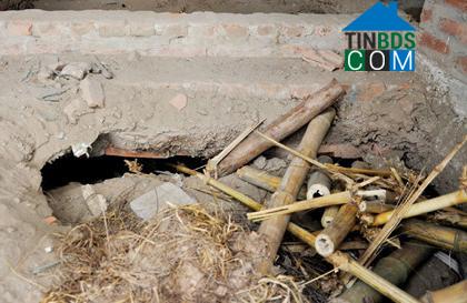 Ảnh Khu đô thị Văn Phú: Cỏ dại mọc trong biệt thự tiền tỷ