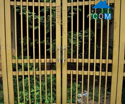 Ảnh Khu đô thị Văn Phú: Cỏ dại mọc trong biệt thự tiền tỷ