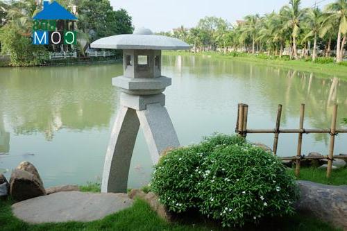Ảnh Ngắm khu vườn phong cách Nhật trong biệt thự ở Hà Nội