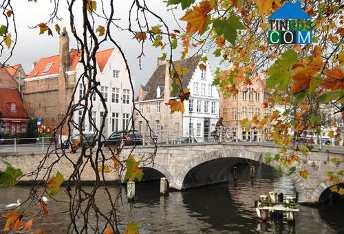 Ảnh Thành phố trên nước yên bình ở Bruges-Bỉ