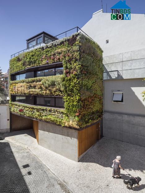 Ảnh Ngôi nhà 4 tầng phủ kín cây xanh ở Tây Ban Nha