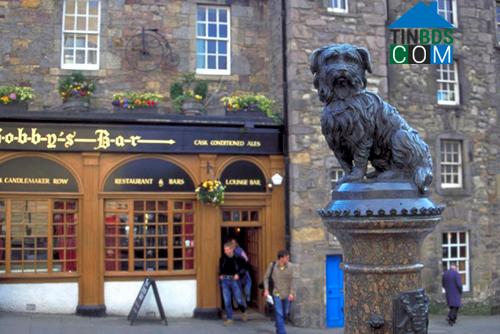 Ảnh Edinburgh, Scotland đẹp nhất trong mùa hè