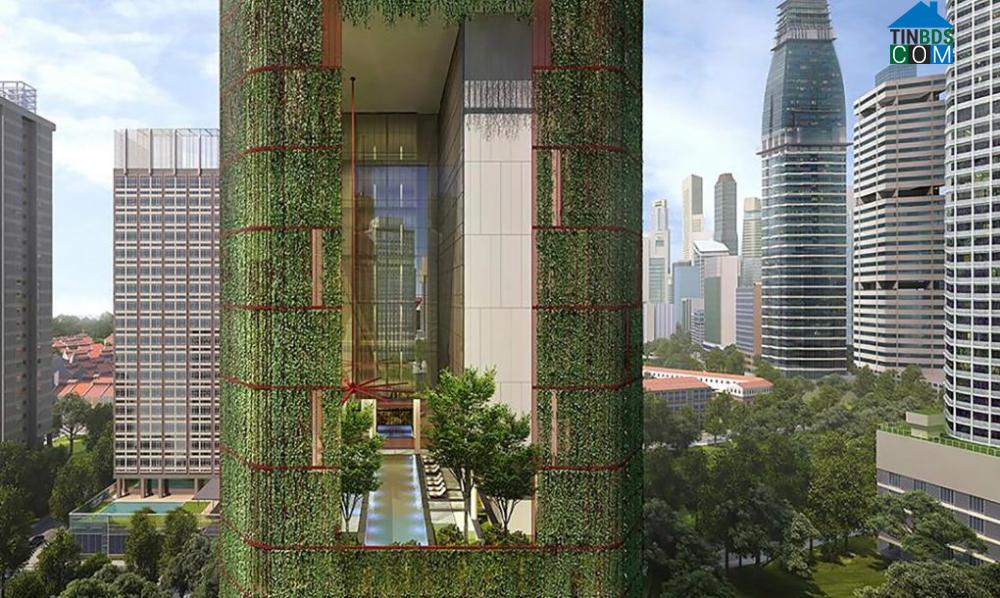 Ảnh Cây xanh phủ kín tòa nhà cao tầng ở Singapore