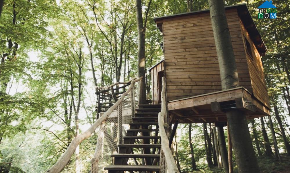 Cầu thang dẫn lên mỗi căn nhà trên cây