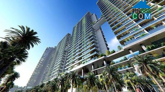 Ảnh Sunshine Crystal River: Cú “hích” công nghệ làm nên tên tuổi lớn