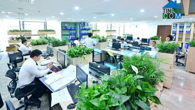 Ảnh Xu hướng ưa chuộng văn phòng “xanh” tại Việt Nam