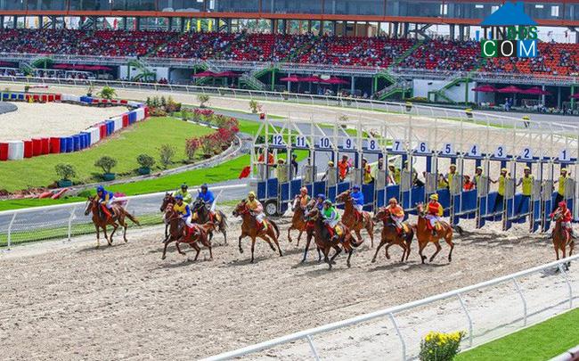 Ảnh 420 triệu USD vốn ngoại đổ vào dự án trường đua ngựa ở Sóc Sơn