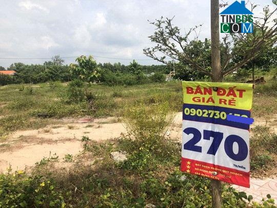 Ảnh Lừa bán đất dự án tràn lan: Gốc rễ do lòng tham