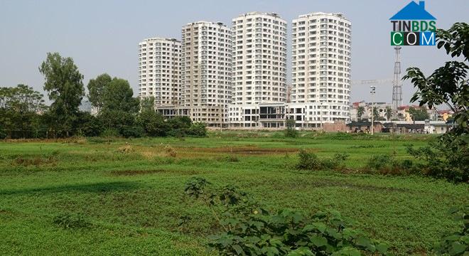 Ảnh Duyệt đơn giá tiền sử dụng đất một số dự án trên địa bàn Tp.HCM