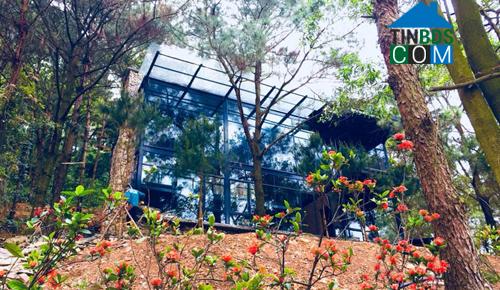 Ảnh Mô hình kinh doanh homestay phát triển mạnh ở vùng ven Hà Nội