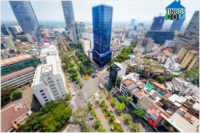 Ảnh Bức tranh sáng - tối của thị trường cho thuê tại Tp.HCM