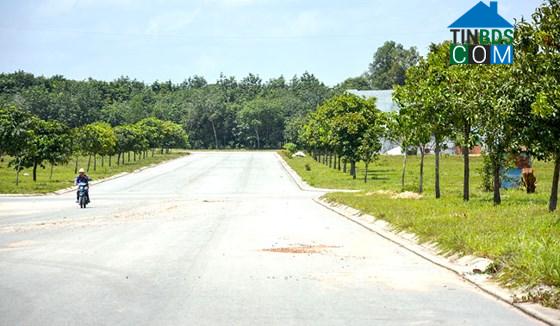 Ảnh Thành phố mới Bình Dương vẫn chưa hết đìu hiu