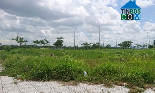 Một dự án đất nền tại khu Đông Tp.HCM. Ảnh: Vũ Lê