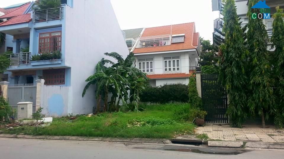 Ảnh Nhà đầu tư “hốt bạc” tỷ với thị trường ngách