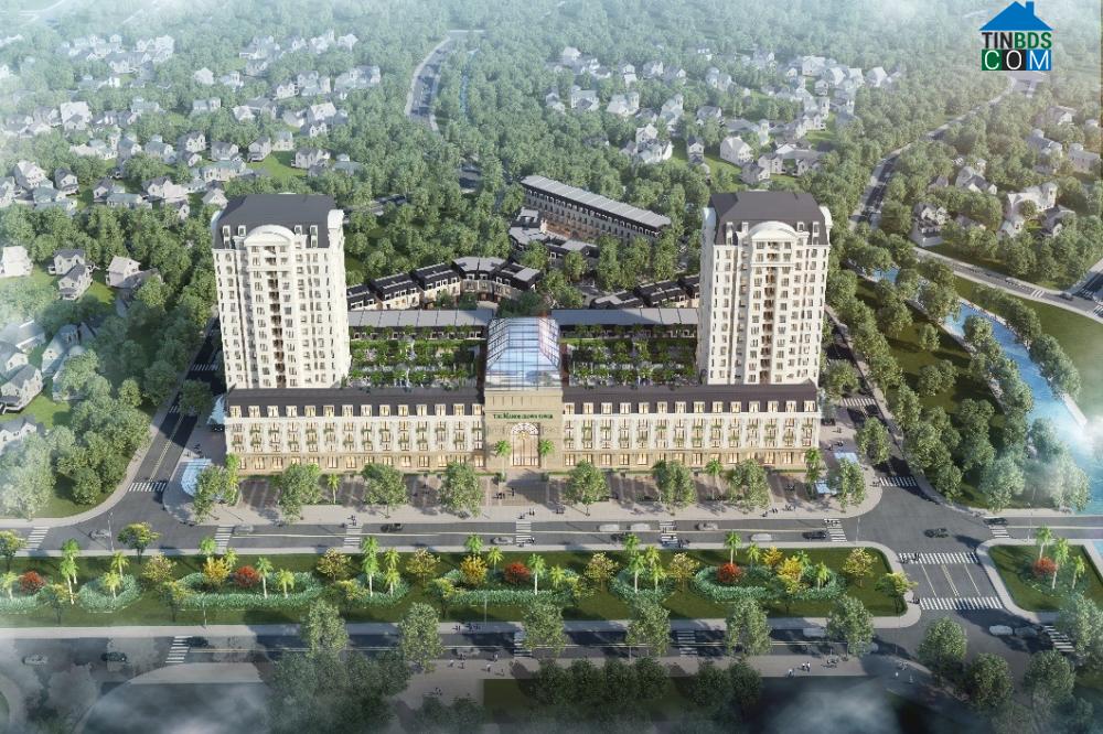 Tổng thể dự án The Manor Crown Huế