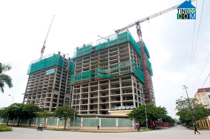 Ảnh NOXH: Nghịch lý khan hiếm nhưng vẫn ế hàng