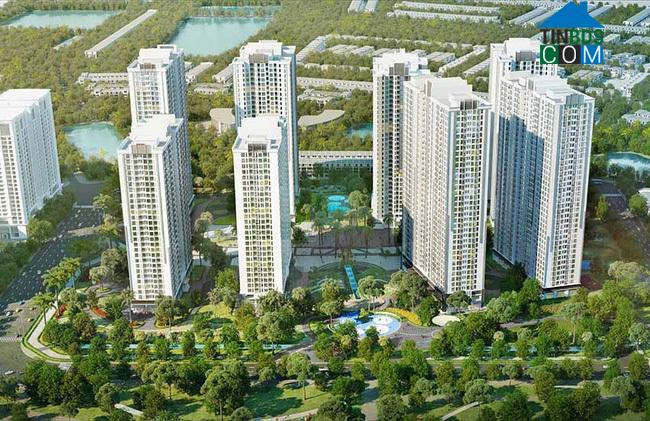 Ảnh TTBĐS tháng 11/2018: Đất nền ven Hà Nội và Tp.HCM dậy sóng