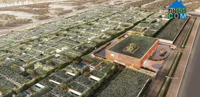 Ảnh Biệt thự biển phong cách "Go Green" thu hút khách nghỉ dưỡng cao cấp