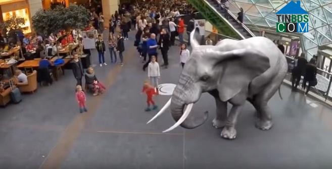 Ảnh Xuất hiện con phố kỳ lạ có hổ báo, cá heo giữa lòng Sài Gòn