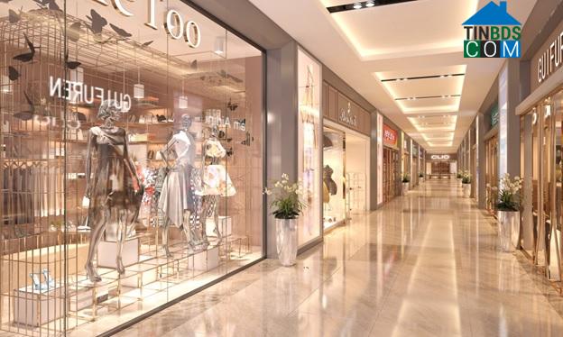 Ảnh Lô thương mại - Mô hình kinh doanh và sở hữu hiệu quả