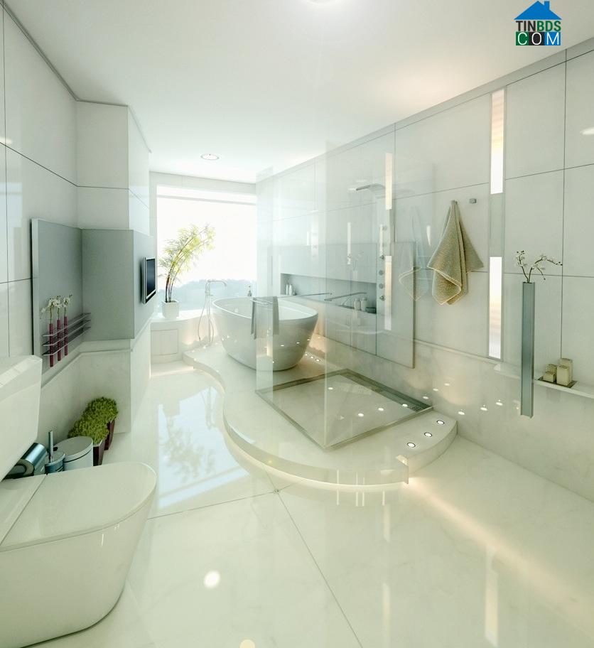 Phòng tắm thiết kế theo chiều dọc, tận dụng mọi góc