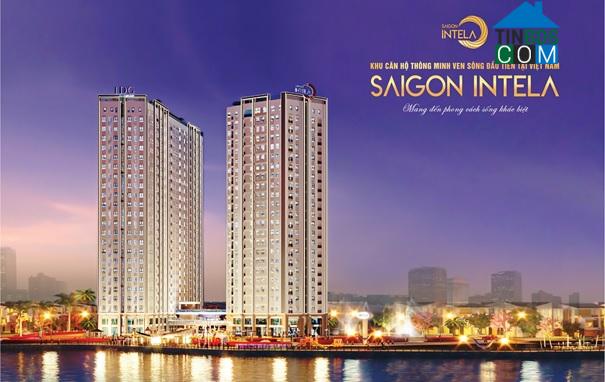 Bể bơi SaiGon Intela