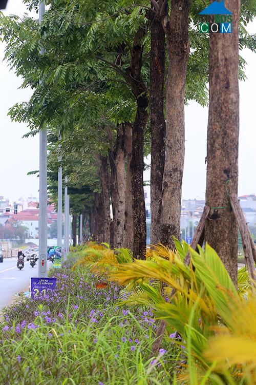 Ảnh Ngắm tuyến đường 10 làn xe kết nối hai đường vành đai của Hà Nội