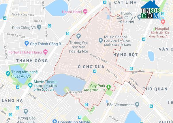 Quy hoạch sử dụng đất phường Ô Chợ Dừa. Ảnh: Google Maps